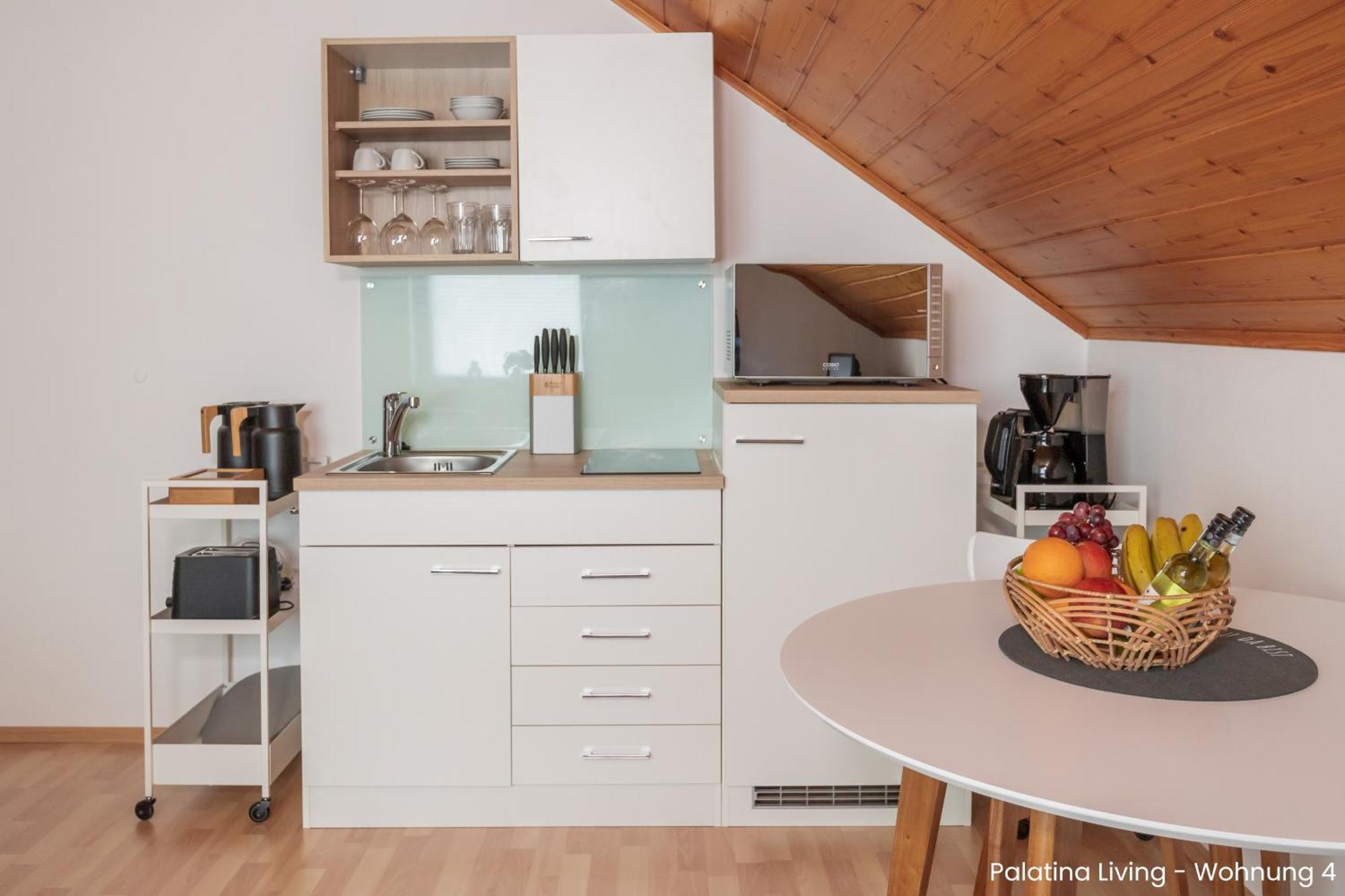 Palatina Living Daire Fischbach Dış mekan fotoğraf