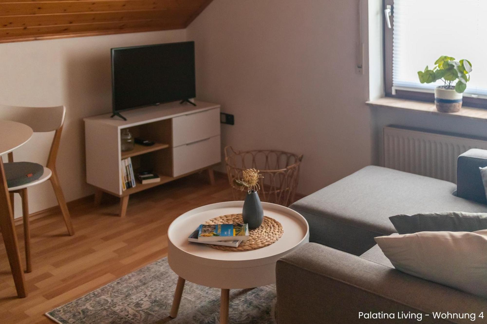 Palatina Living Daire Fischbach Dış mekan fotoğraf