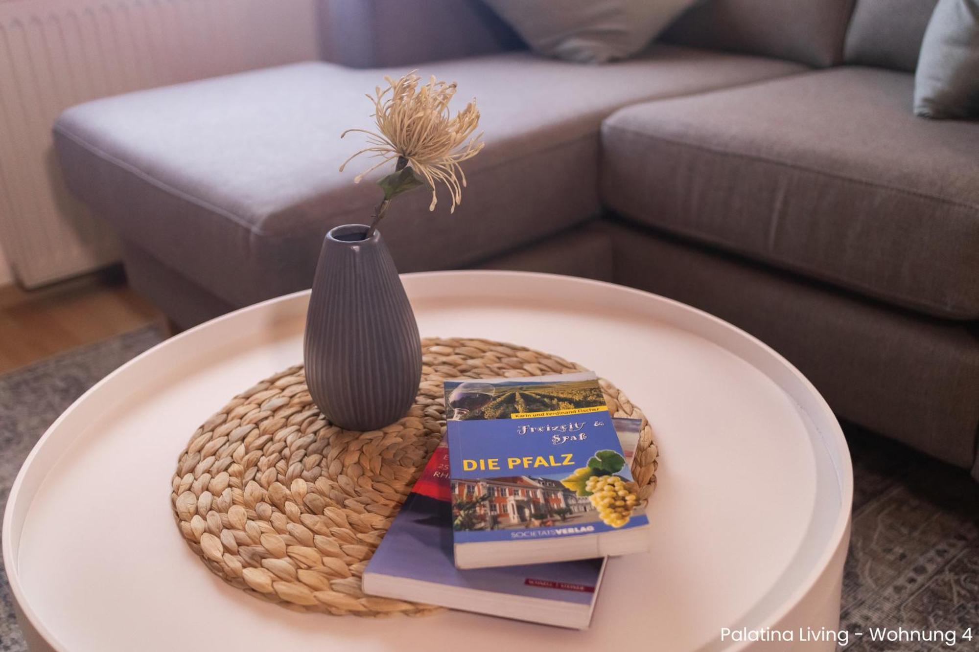 Palatina Living Daire Fischbach Dış mekan fotoğraf