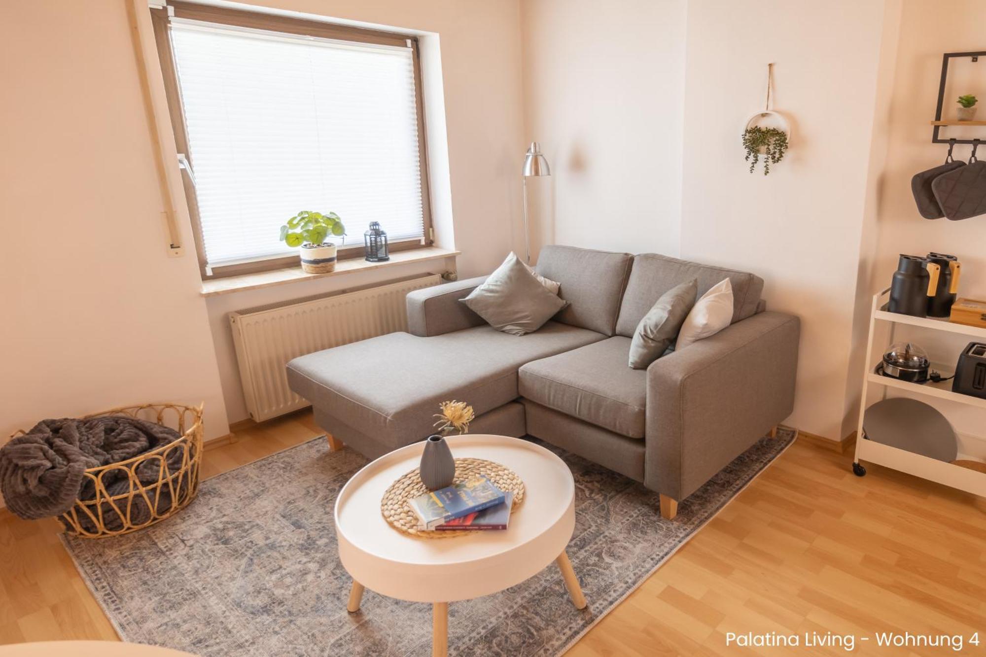 Palatina Living Daire Fischbach Dış mekan fotoğraf