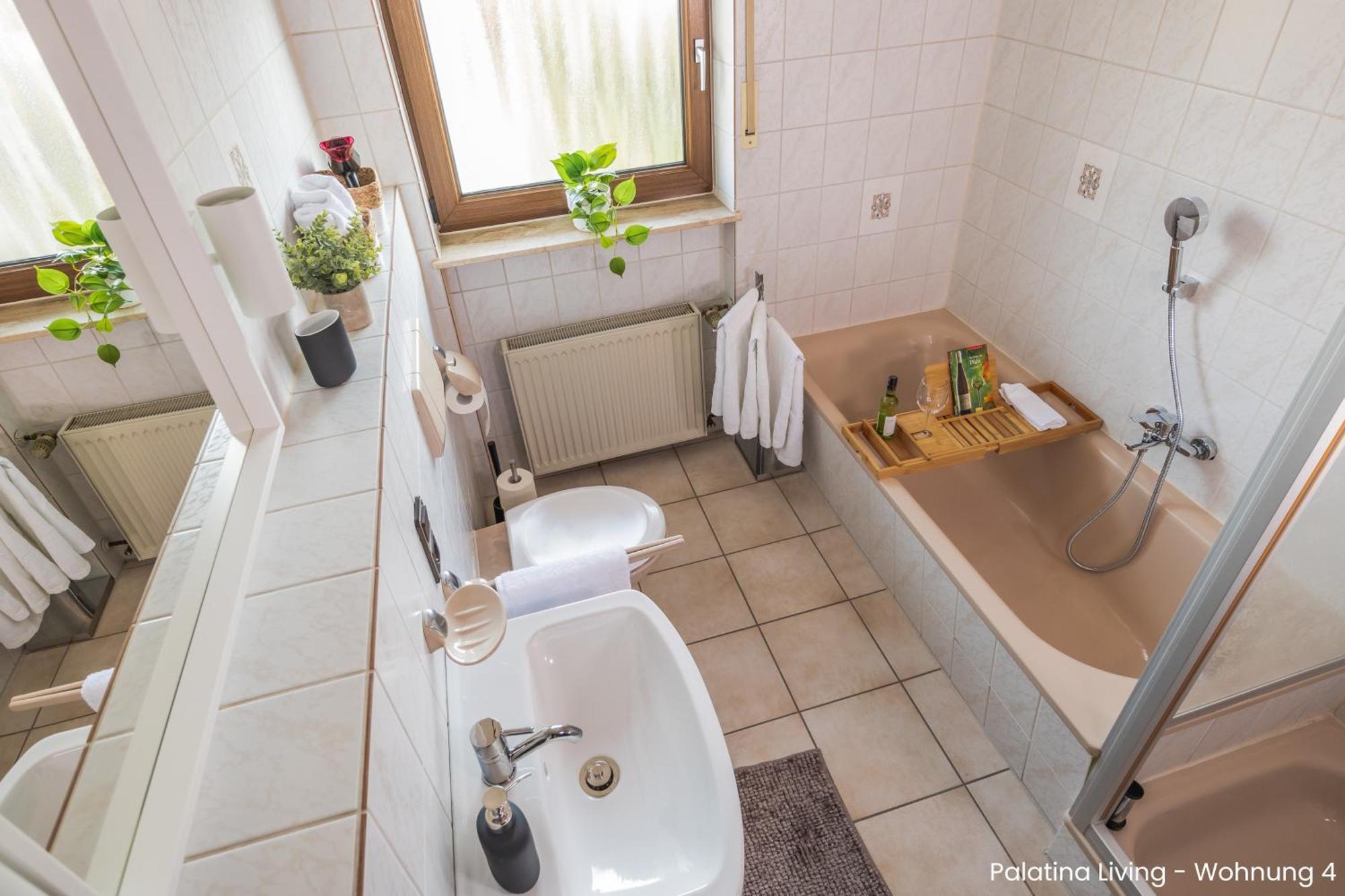 Palatina Living Daire Fischbach Dış mekan fotoğraf