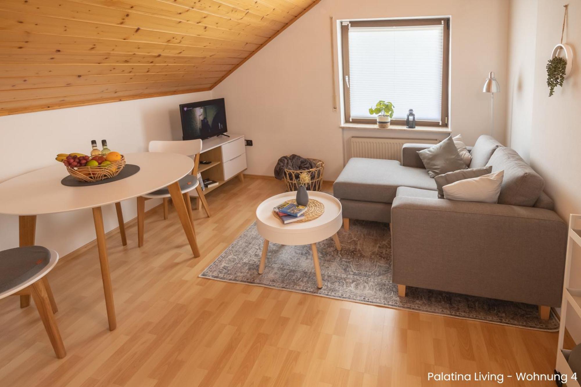 Palatina Living Daire Fischbach Dış mekan fotoğraf