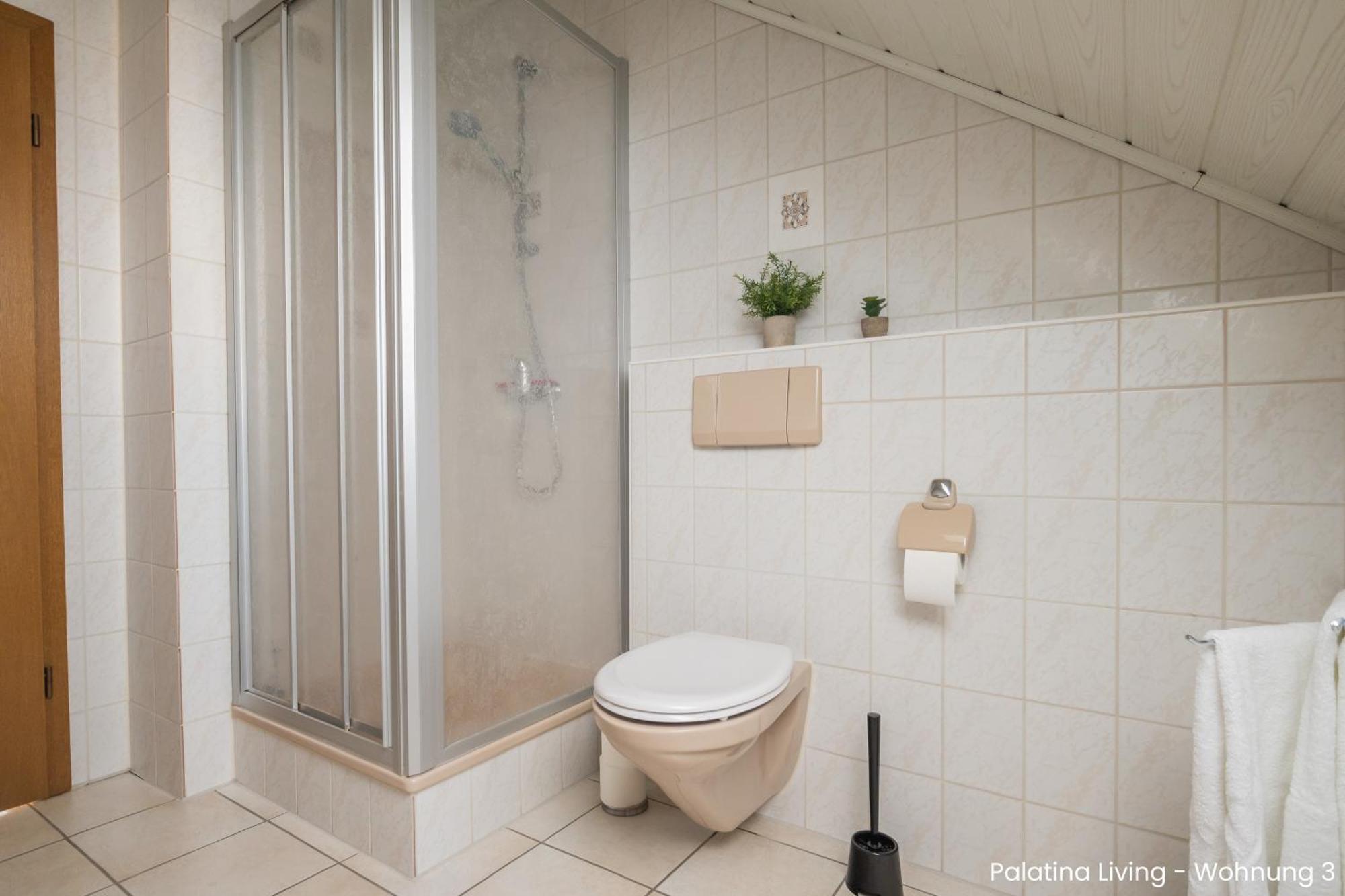 Palatina Living Daire Fischbach Dış mekan fotoğraf