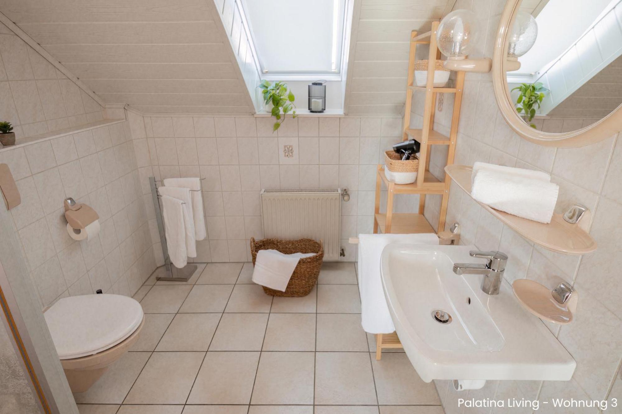 Palatina Living Daire Fischbach Dış mekan fotoğraf