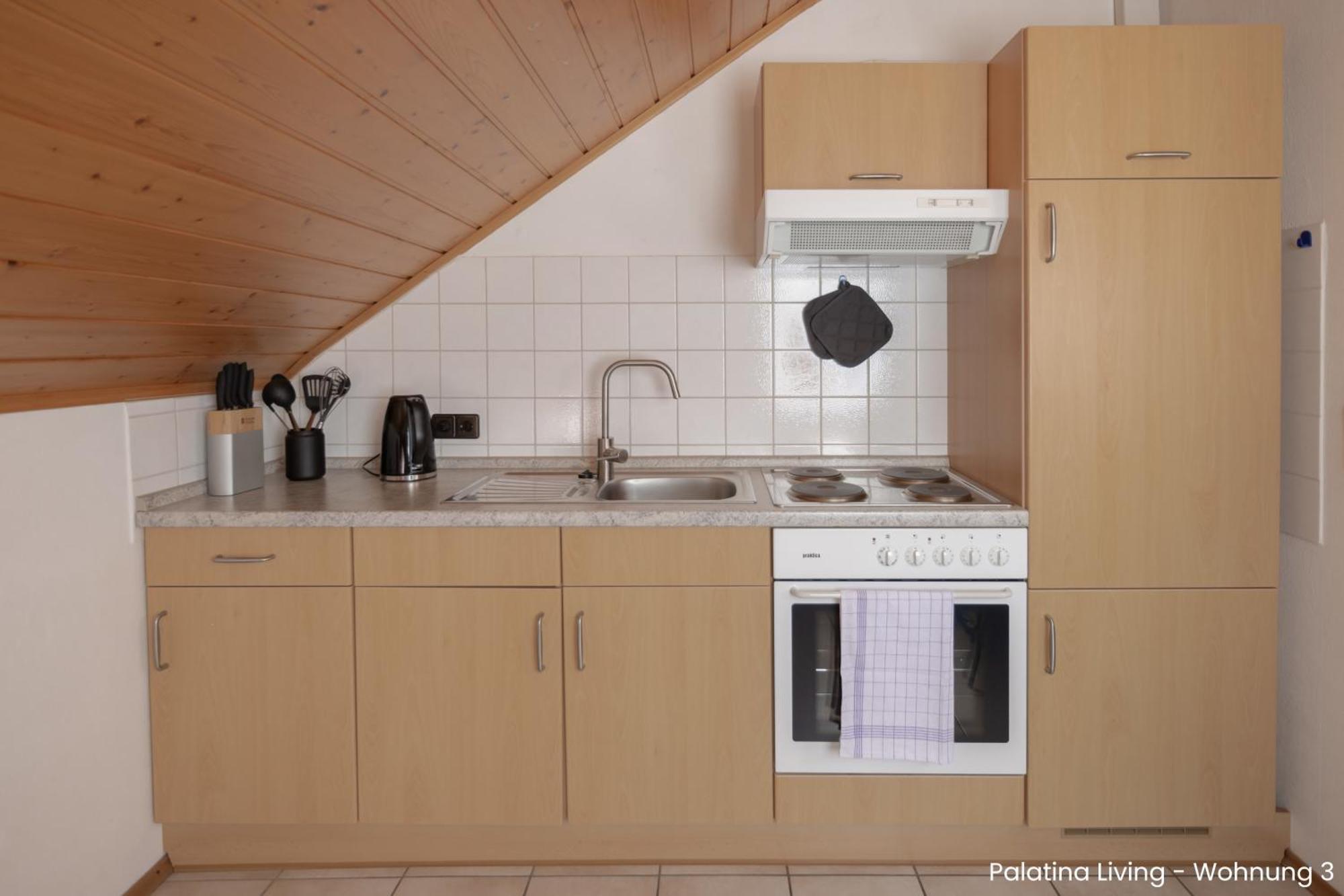 Palatina Living Daire Fischbach Dış mekan fotoğraf