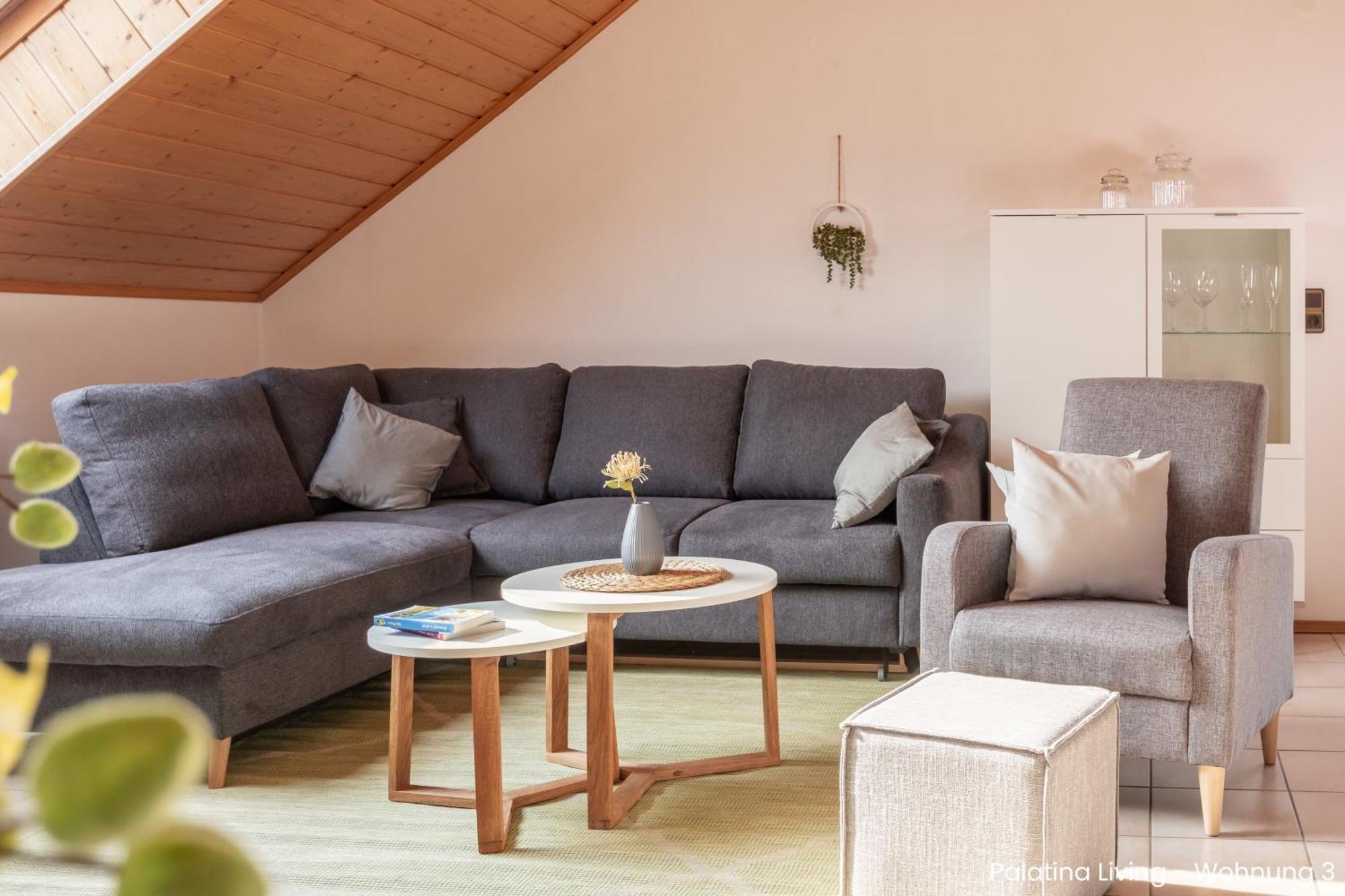 Palatina Living Daire Fischbach Dış mekan fotoğraf