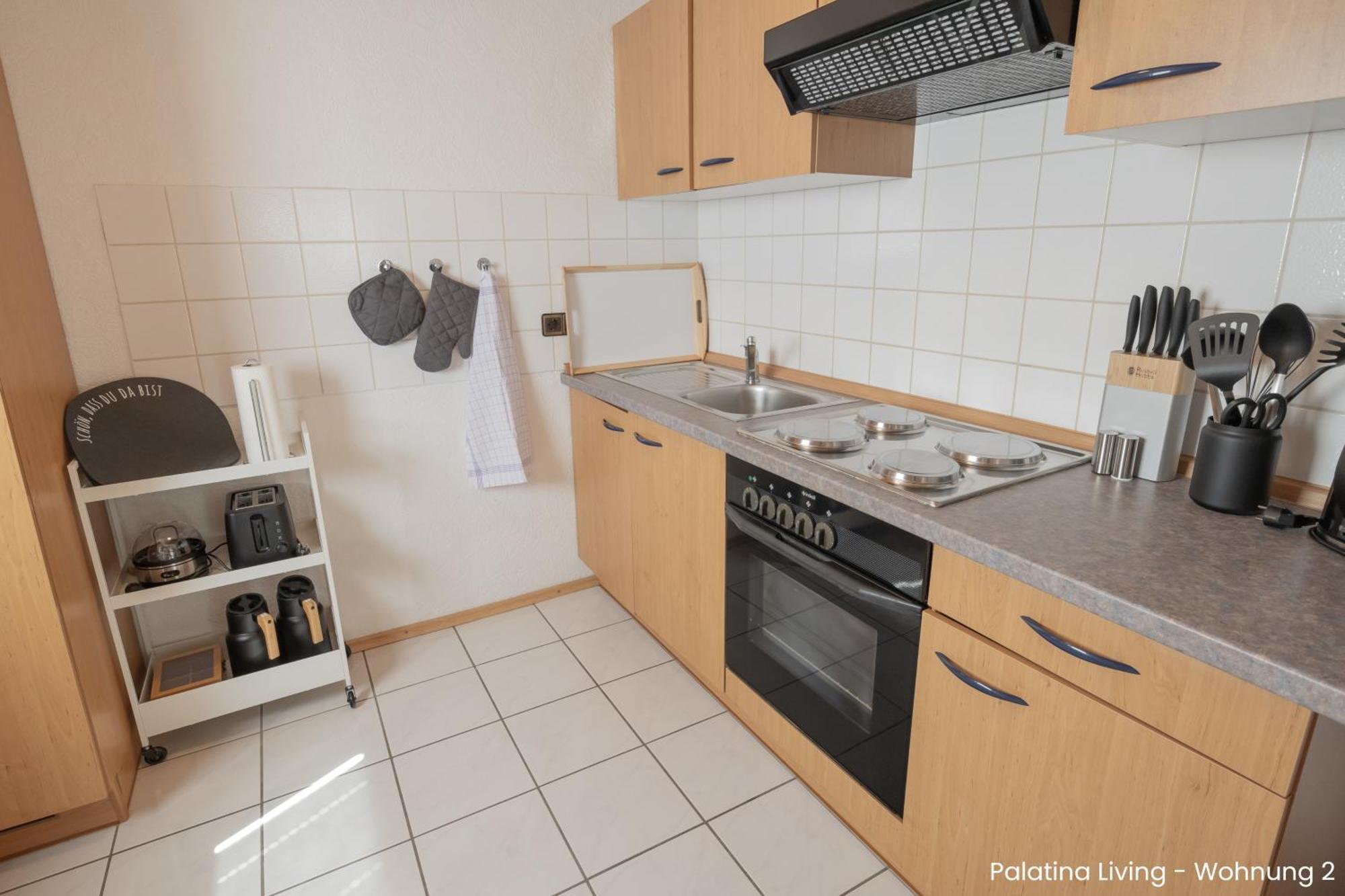 Palatina Living Daire Fischbach Dış mekan fotoğraf