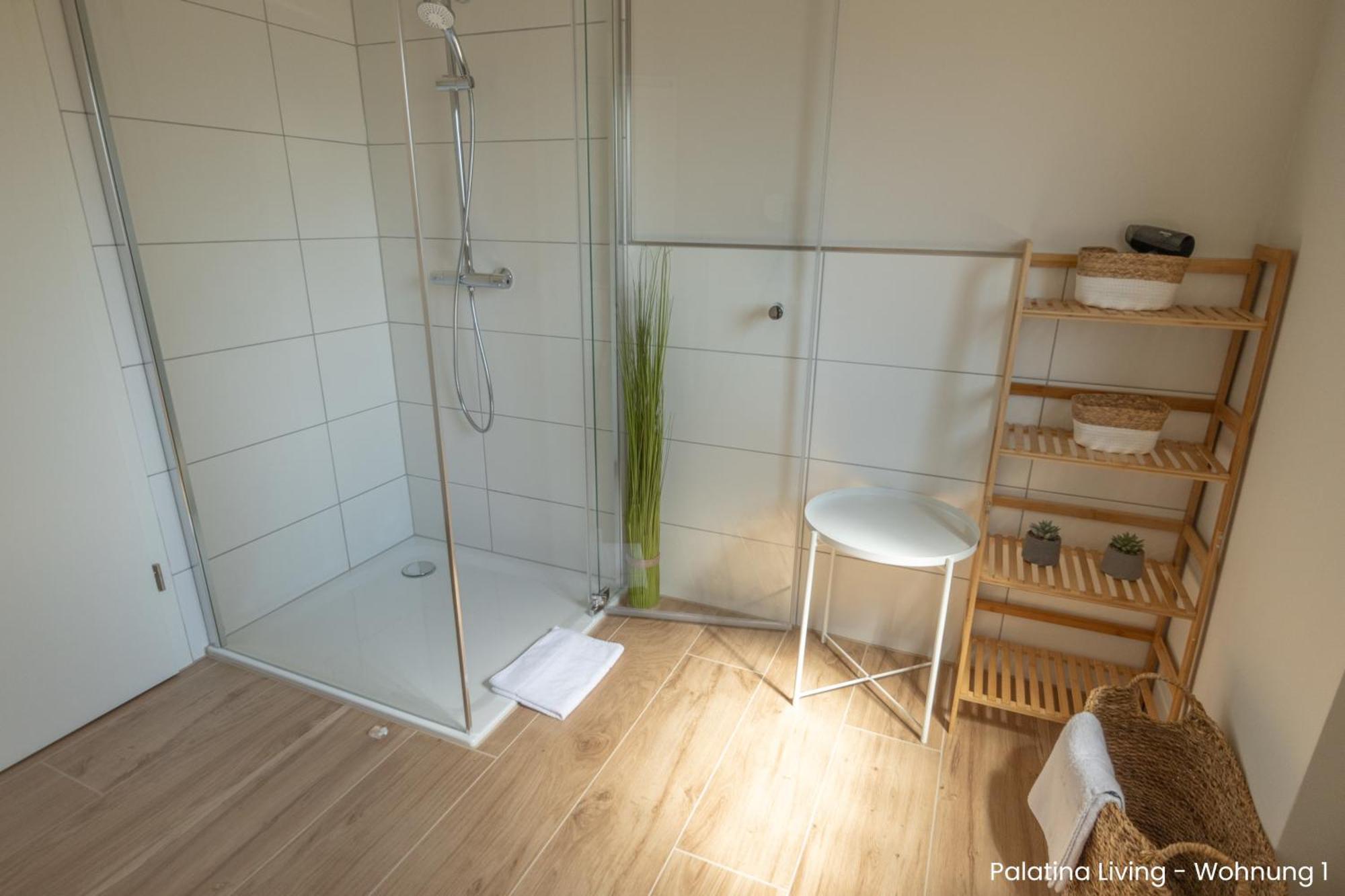 Palatina Living Daire Fischbach Dış mekan fotoğraf