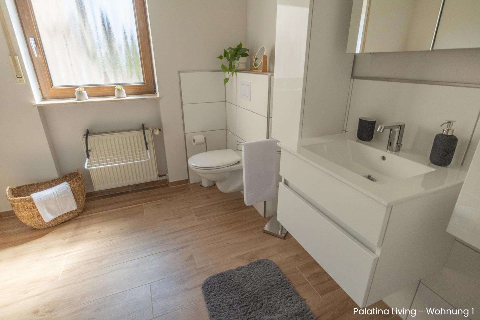 Palatina Living Daire Fischbach Dış mekan fotoğraf