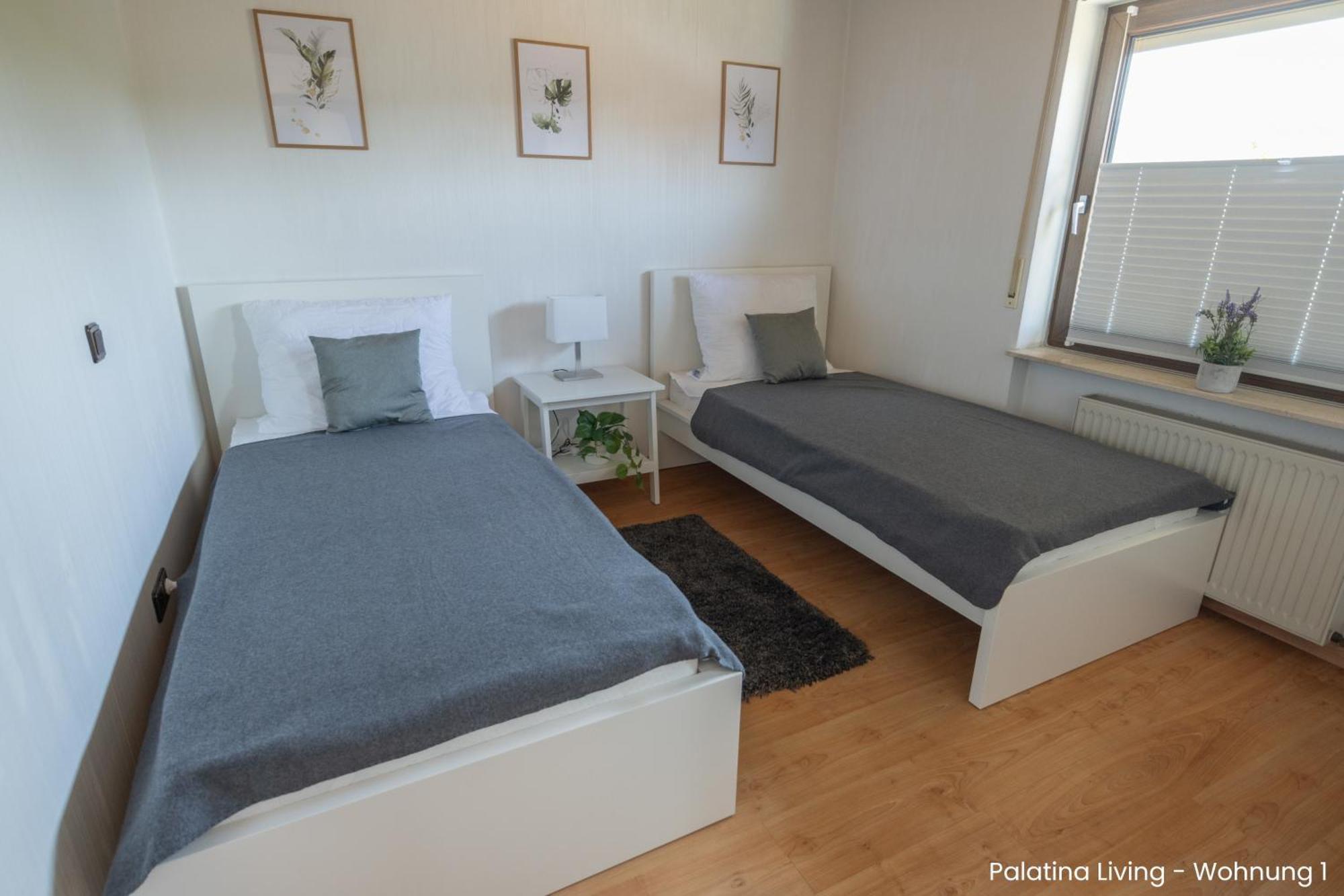 Palatina Living Daire Fischbach Dış mekan fotoğraf