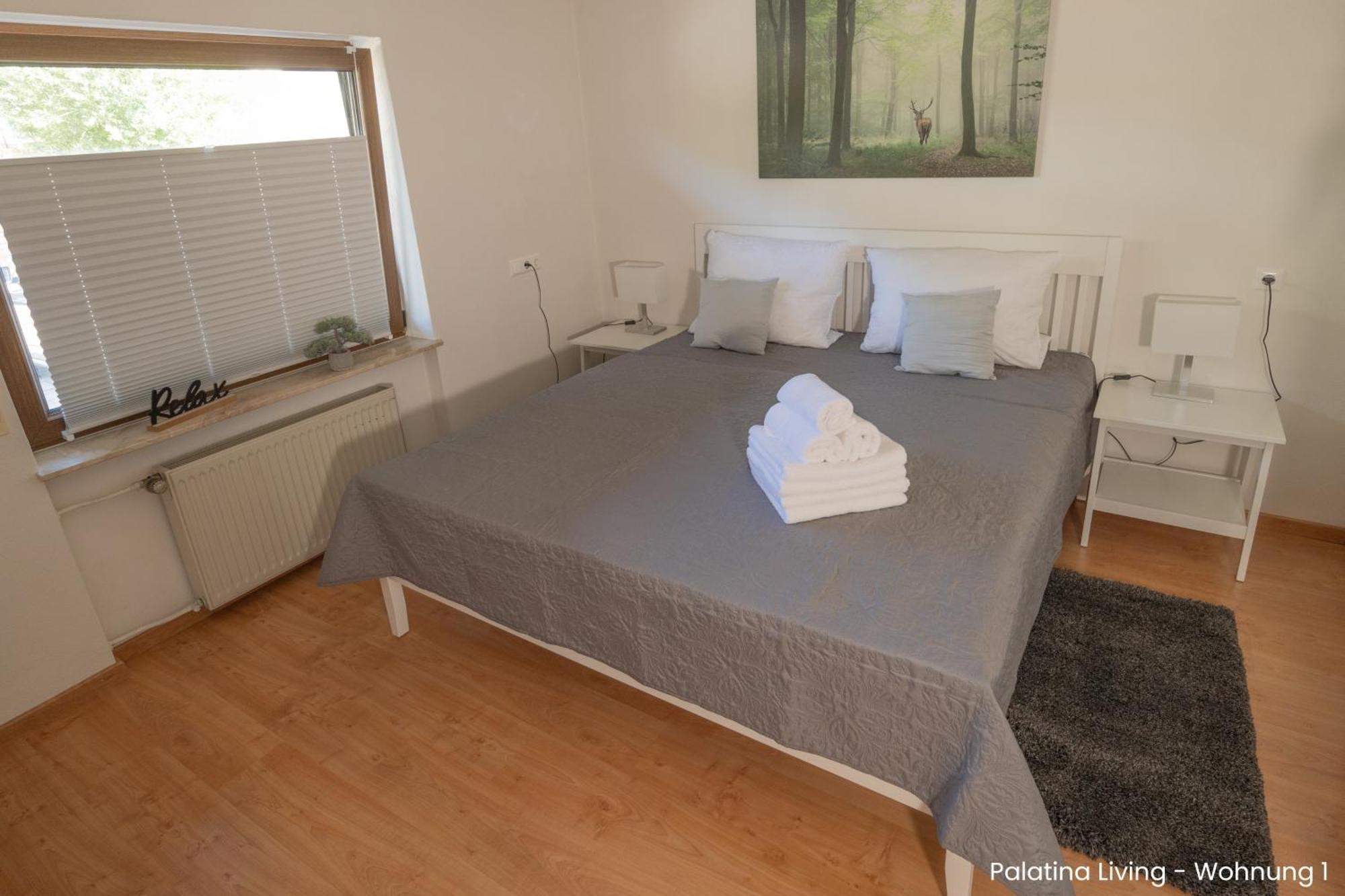 Palatina Living Daire Fischbach Dış mekan fotoğraf