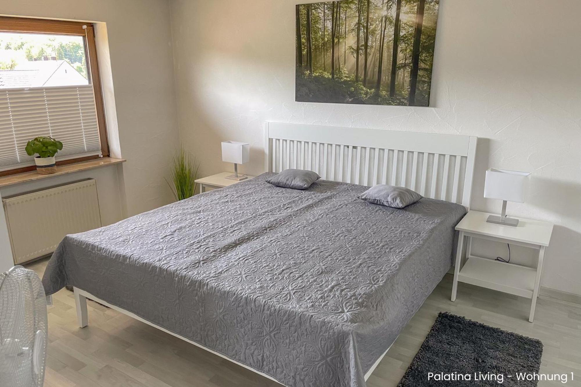 Palatina Living Daire Fischbach Dış mekan fotoğraf