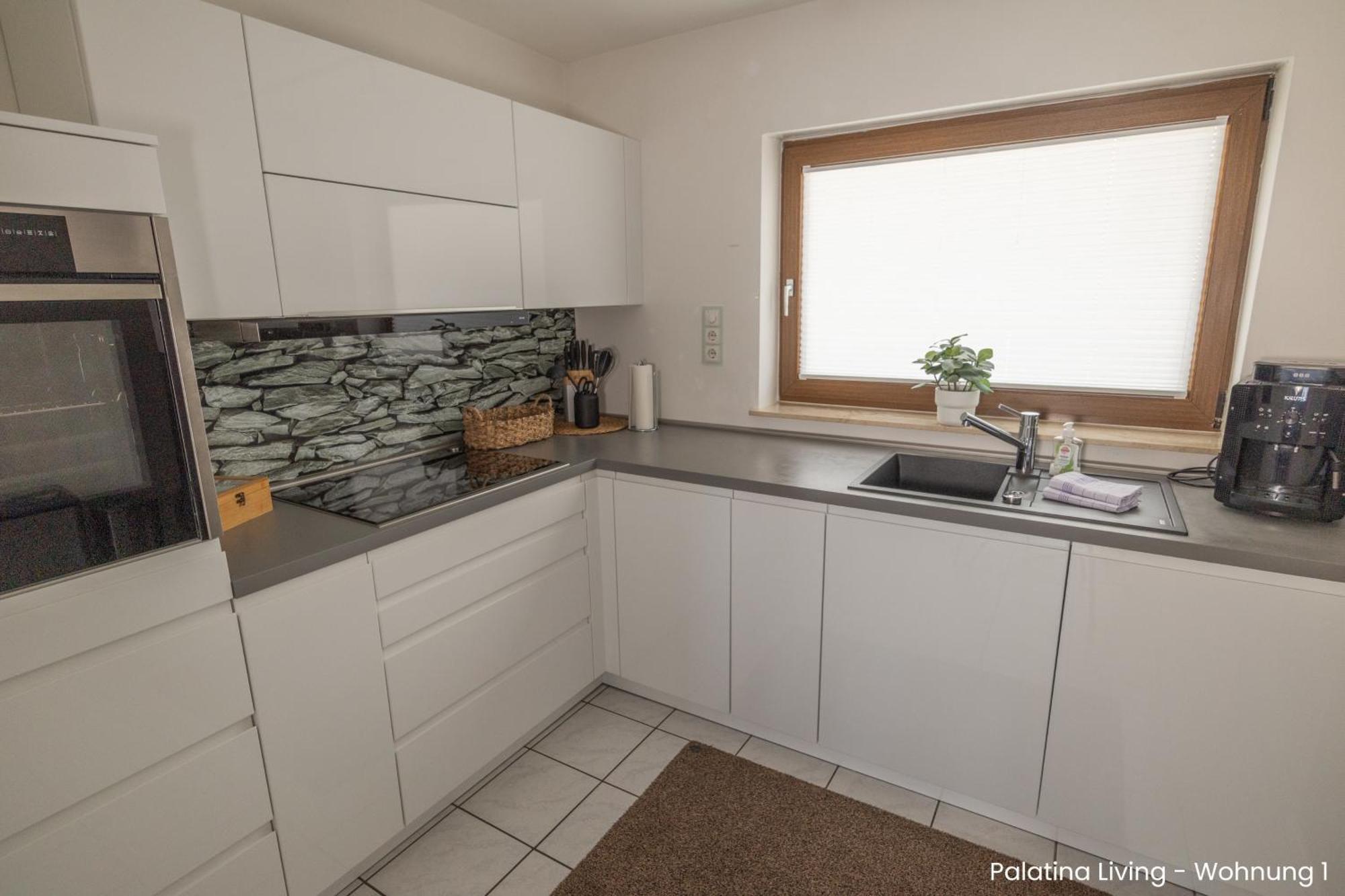 Palatina Living Daire Fischbach Dış mekan fotoğraf