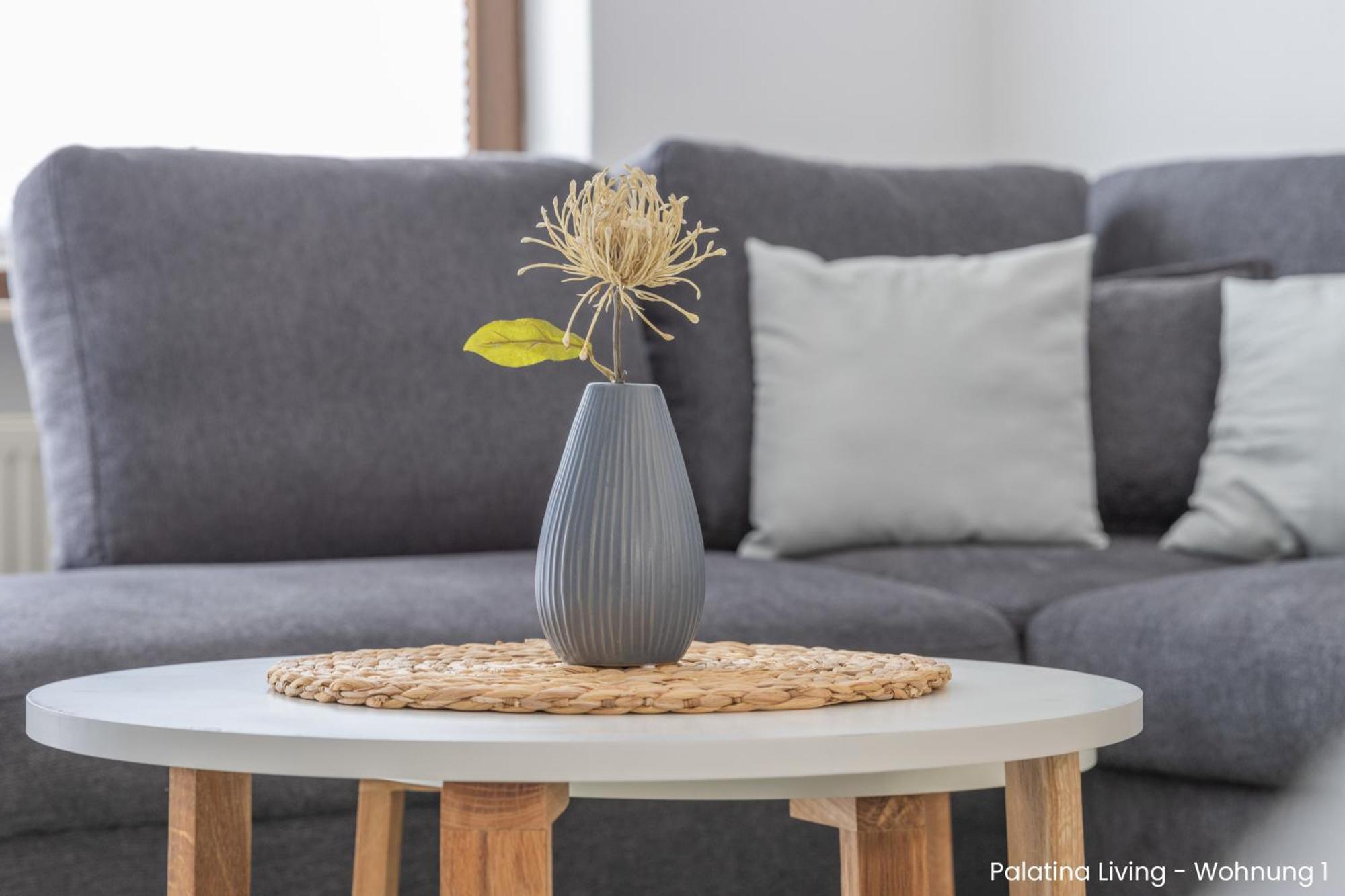 Palatina Living Daire Fischbach Dış mekan fotoğraf